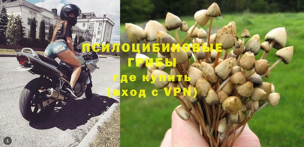 не бодяженный Михайловск