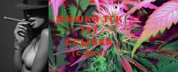 спиды Вяземский