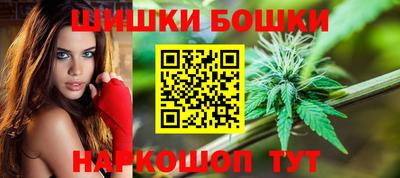 МДПВ Гатчина