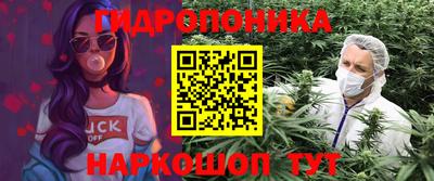 скорость Гай