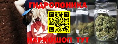 МДПВ Гатчина