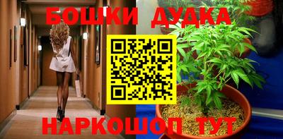 МДПВ Гатчина