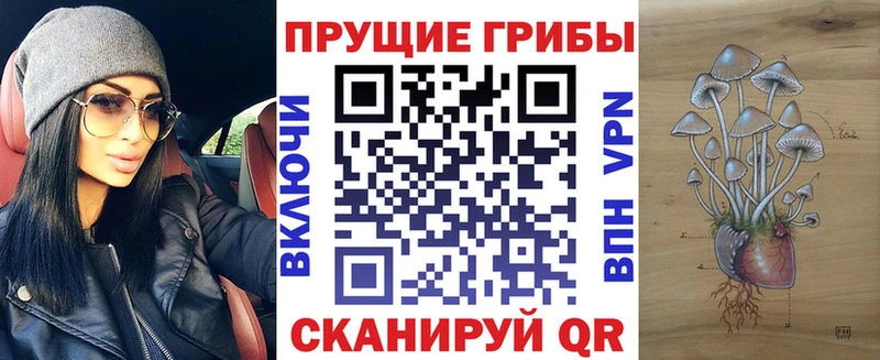 ссылка на мегу ССЫЛКА  Сухой Лог  Псилоцибиновые грибы прущие грибы  хочу наркоту 