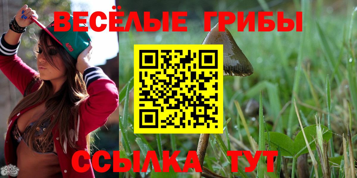 Псилоцибиновые грибы MAGIC MUSHROOMS Сухой Лог