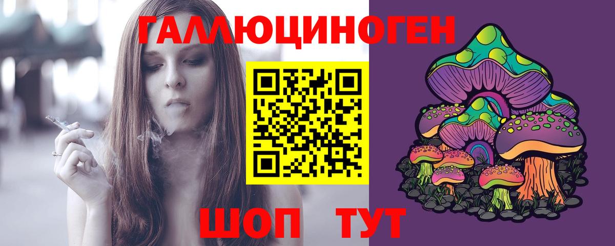 Галлюциногенные грибы прущие грибы  Вход с VPN  Сухой Лог 